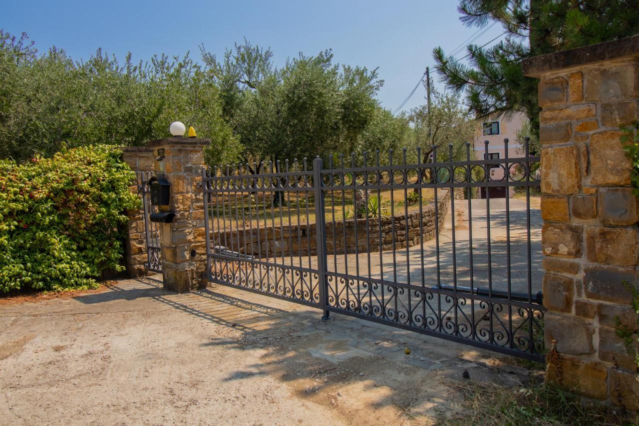 Olive Garden & Sea Apartments بورتوروز المظهر الخارجي الصورة